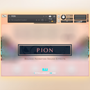 PION
