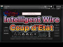 Coup d'Etat